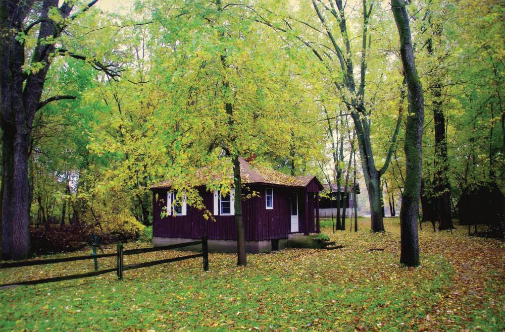Lorine Niedecker's cabin in fall.